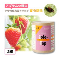 2個 天敵製剤 コレトップ 250頭 100ml コレマンアブラバチ アブラムシ類駆除 ハウス ビニールハウス 施設…