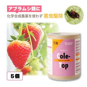 5 VG Rgbv 250 100ml R}Auo` AuVދ쏜 nEX rj[nEX {ݍ͔|  _ _앨 AOZNg ^S s