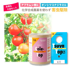 2_Zbg VG Rgbv 250 100ml & cgbv25 25×100J[h Q쏜 nEX rj[nEX {ݍ͔| AOZNg ^S s