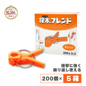 200×5 ږ؃th IW F ږؗp Nbv ڂ iXȗp Eȗp p uhE Wx E E[ ڈ {sAXH  DZ