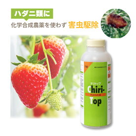 天敵製剤 チリトップ 2000頭 500ml チリカブリダニ ハダニ類駆除 ハウス ビニールハウス 施設栽培 イチゴ 野菜 農業 農作物 アグリセクト タS 代引不可