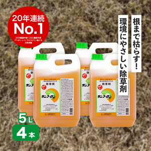 Tt[ 5L×4{ ܂Ō͂炷 OzT[g n  t ߃^Cv ߂Ă܂ ł XMi ǂ |  B lzs s