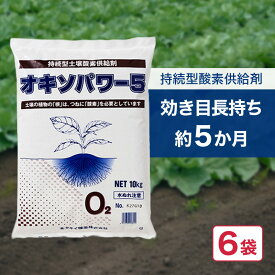 6袋 オキソパワー5 酸素供給剤 10kg 国産 発根促進 根張り 肥料 吸収率 向上 効き目 長持ち 酸素供給 梅雨 台風 豪雨 対策 タキイ種苗 個人宅配送不可 代引不可