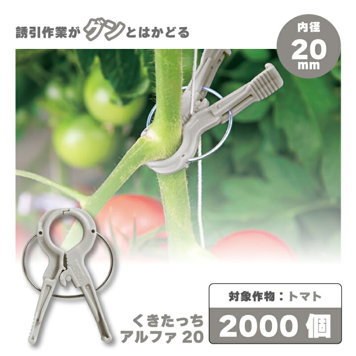 楽天市場】2000個 (200個×10袋) くきたっちアルファ 20 グレー 灰色 