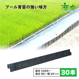 30本 プール育苗 用 枠板 楽育 ライク 長さ1000×高さ90×幅16mm 水稲 苗 稲作 ハウス 育苗 栽培 農業 農業資材 サンポリ 北海道不可 個人宅配送不可 代引不可
