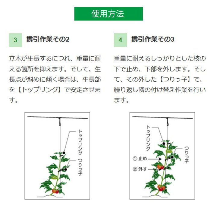 楽天市場 600個 つりっ子 キュウリ用 ナスニックス 茎と誘引紐を固定 栽培 誘引具 サt 代引不可dw プラスワイズ業者用専門店