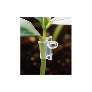 6000 X[p[ACh 31 a3.1mm iXjbNX ڂ LE  XCJ  TT s