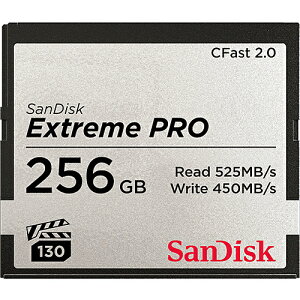 SanDisk SDCFSP-256G-J46D SanDisk GNXg[ v CFast 2.0 J[h 256GB