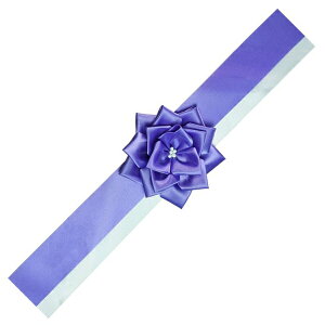  905353 FUJICOLOR ёz { p[v