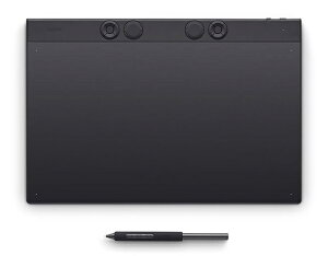 WACOM PTK870K0C Wacom Intuos Pro large
