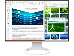 EIZO EV2485-WT tfBXvC 24.1^/ 1920×1200/ HDMIADisplayPortAUSB Type-C/ zCg/ Xs[J[F