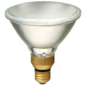 ELPA EBRF110V90W �n���Q���r�[�������v �U���` 90W