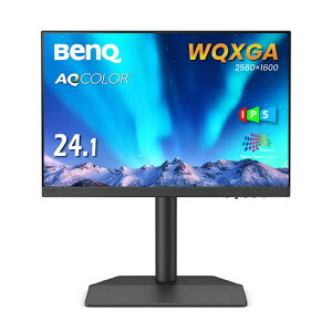 BenQ SW242Q J[}lWgtfBXvC 24.1^/ 2560×1600/ HDMI x2ADisplayPort x1AUSB Type-Ci90Wdj x1/ _[NO[/ Xs[J[FȂ/ IPS/ 16:10/ AdobeRGB 99%