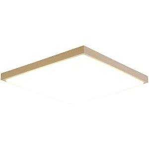 ACXI[} CL12DL-5.1JM LEDV[OCg ap` 12F