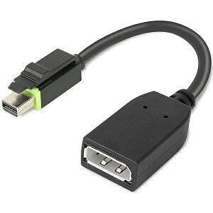 m{EWp 4X90Q93975 ThinkStation Mini DisplayPort - DisplayPortA_v^[