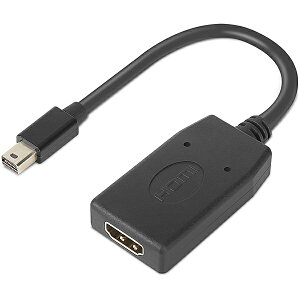 m{EWp 4X90Q93976 ThinkStation Mini DisplayPort - HDMIA_v^[