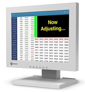 EIZO FDX1204-TGY �t���f�B�X�v���C 12.1�^/ 1024×768/ DisplayPort�AHDMI�AD-Sub/ �Z���[���O���C/ �X�s�[�J�[�F�Ȃ�