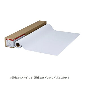 Canon 8939B001 �R�[�g��2 LFM-CP2/ 42/ 95