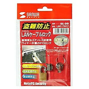 TTvC SL-39 LANP[ubNi싞^Cvj