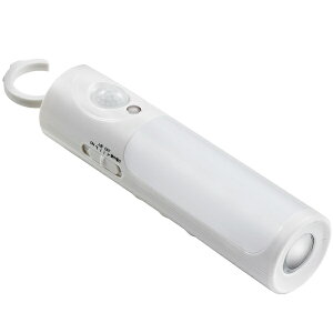 ELPA PM-L256 LEDZT[tCg