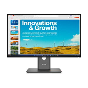 m{EWp 64B1GAR1JP ThinkVision P24QD-40 (23.8^ChtfBXvC/ 2560×1440/ USB Type-CADPAHDMI/ ubN/ Xs[J[FȂ/ 3Nԃtۏ/ LpIPSpl̗p)
