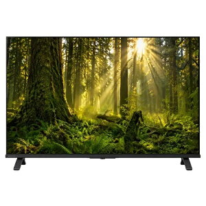 TVS REGZA 43C350S �y�@�l����REGZA�z4K�t�����O�U43V�^ �V4K�q�������E�n��EBS�E110�xCS�f�W�^���t���e���r