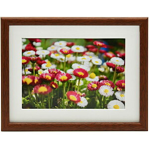  407901 FUJICOLOR ؐz M21 Ch4 uE