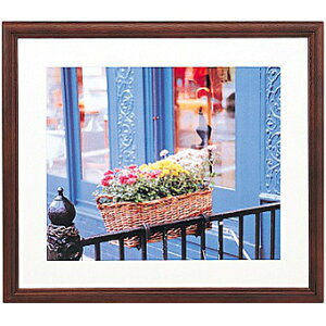  405099 FUJICOLOR ؐz YM-3 Ch4 uE