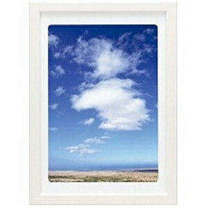  504853 FUJICOLOR ؐz fWtHgt[D4 A4 zCg