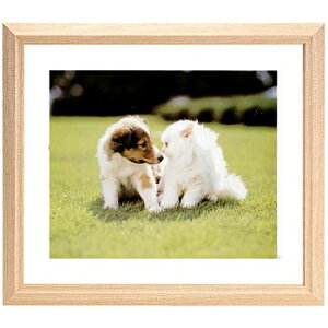  403163 FUJICOLOR ؐz M12 AN Ch6