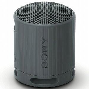 SONY(VAIO) SRS-XB100/B CX|[^uXs[J[ XB100 ubN