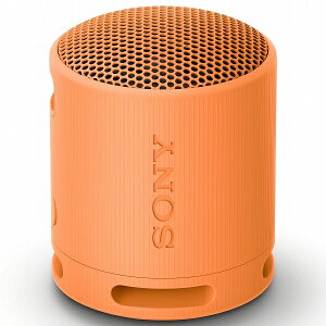 SONY(VAIO) SRS-XB100/D CX|[^uXs[J[ XB100 IW