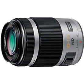 Panasonic H-PS45175-S デジタル一眼カメラ用交換レンズ LUMIX G X VARIO PZ 45-175mm/ F4.0-5.6 ASPH./ POWER O.I.S. （シルバー）