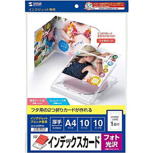 TTvC JP-INDGK2N tHgCDEDVDP[XJ[hiJj