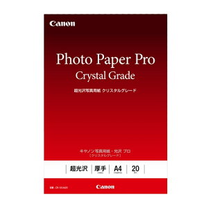 Canon 3863C002 ʐ^pE v mNX^O[hn A4 20 CR-101A420
