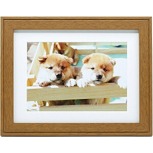  407741 FUJICOLOR ؐz YM-9 A3 uE