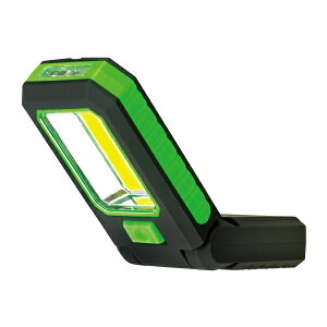 ELPA DOP-WL02(G) LED[NCg O[