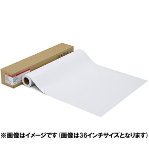 Canon 1107C004 ʐ^pE v[v`iO[h] LFM-GPPT/ 17/ 300