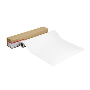 Canon 2347C023 �ϐ��|�X�^�[�r�j�[��(�}�b�g)�Еt LFM-WRAV2/ 36/ 310