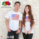 星条旗デザインTシャツ【FRUIT OF THE LOOM】 メンズ レディース ペアルック リンクコーデ 半袖 白T 星 スター アメリカ国旗 カリフォルニア サーフ トリコカラー インナー