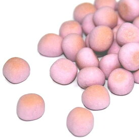 自然と健康　ブルーベリーボーロ　60g 【犬猫おやつ】 ○