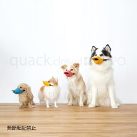 OPPO quack closed S【オッポ　クァッククローズド】○