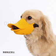 OPPO quack closed M【オッポ　クァッククローズド】○