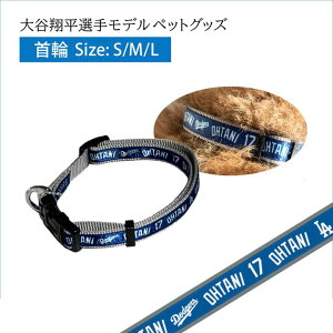 MLB hW[X JĕI胂f hbOJ[ yp@ybgObYz