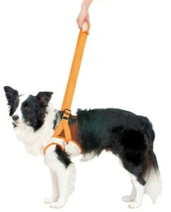 PETIO 老犬介護用 歩行補助ハーネス 前足用 2L ○