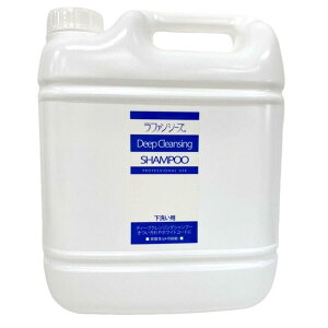 t@V[Y fB[vNWOVv[4000ml yhbOELbg Vv[z 