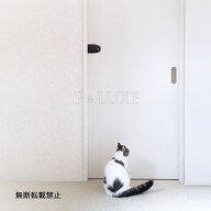 オッポ　スライドロック【OPPO SlideLock　ドアストッパー　引き戸　ロック】○