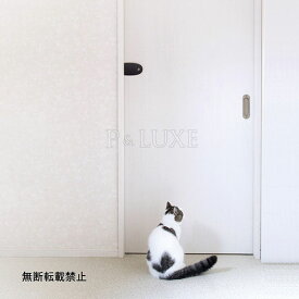 オッポ　スライドロック【OPPO SlideLock】○