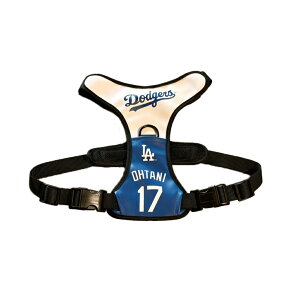 MLB hW[X JĕI胂f hbOn[lX yp@ybgObYz