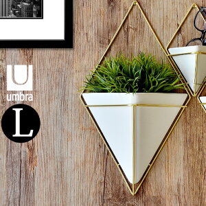 [ [P[X Ǌ| umbra TRIGG WALL VESSELAu gbO EH[I[KiCU[ LTCY[{bNX  e [ P[X  CeA ϗtAk eE 